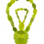 total-home-efficiency green lightbulb